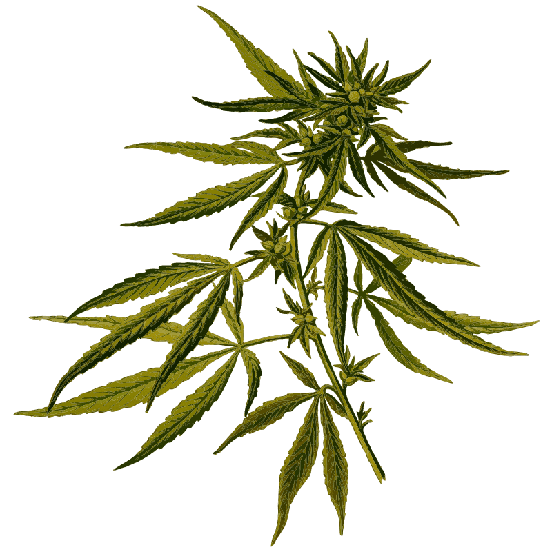 Herby