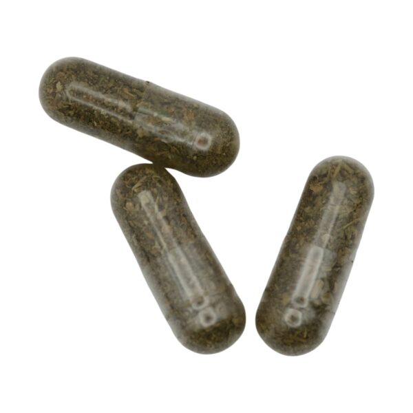 hampablomman hampakapslar kapsel 2 hampablomman hampakapslar kapsel 2