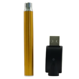 Gyllene vape-penna och USB-laddare
