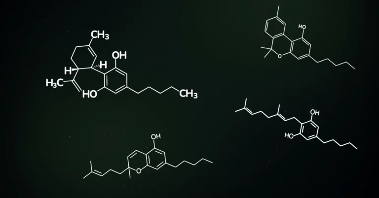 bild som visar cannabinoider cbd, cbg, cbn och cbg