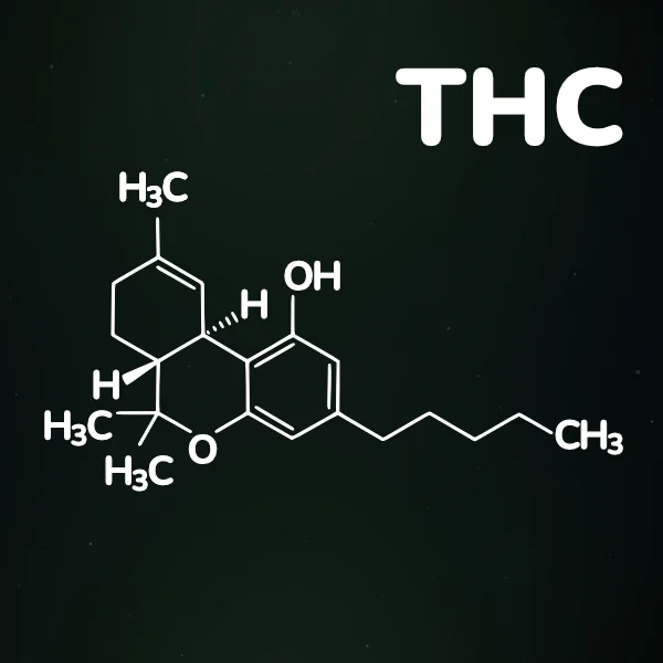 visar molekylen thc som är en cannabinoid